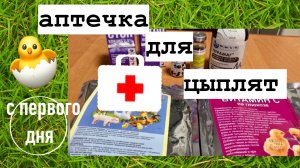 Аптечка для цыплят/Первые дни жизни/Как и чем поить/