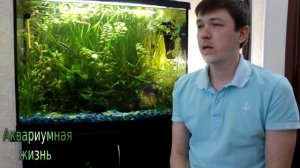 Запуск аквариума для новичков(заполнение водой аквариум)