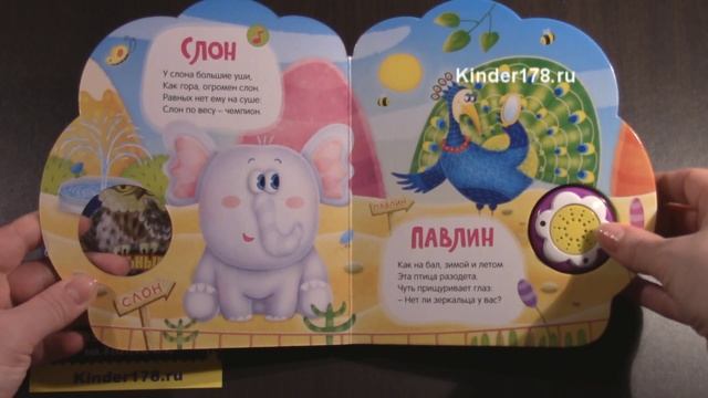 Музыкальная книга "Мой любимый зоопарк" Стихи малышам. Азбукварик. Видео-обзор смотреть онлайн