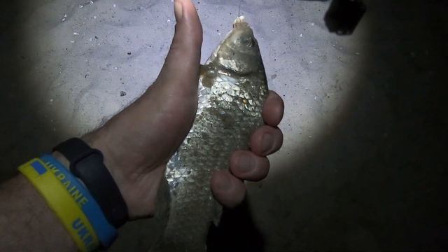 РЫБАЛКА В ЗАПОРОЖЬЕ ЗАЧЕТНЫЙ УЛОВ (Ждановский пляж) -- 20.09.2023