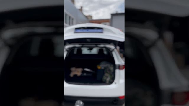 Установили электропривод багажника от AutoLiftTech.net на Mazda CX-5 2018 вместо штатного смотреть онлайн