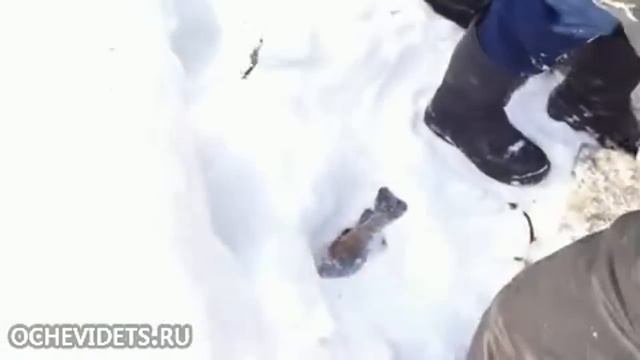 Fishing in winter (Horror)-Рыбалка зимой (Ужас) смотреть онлайн
