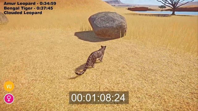 Rare Big Cats Speed Races in Planet Zoo included Leopard, Tiger, Lion смотреть онлайн