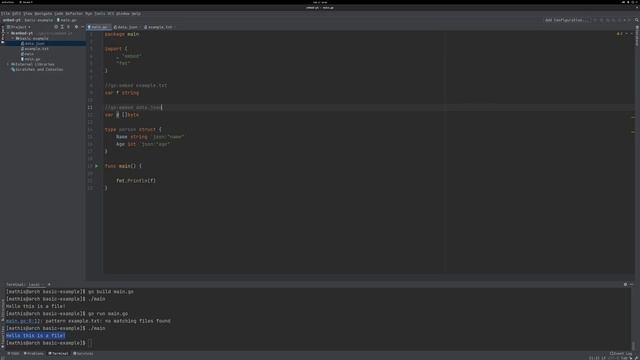 Go 1.16 Embed package explained in 5 minutes! смотреть онлайн