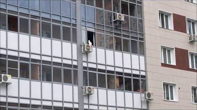 Extreme cat| Fluffy creature on the verge..../ Lifetime hobby смотреть онлайн