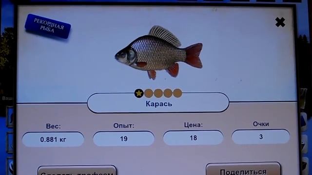 Let's Fish – один из самых реалистичных браузерных онлайн симуляторов рыбалки смотреть онлайн