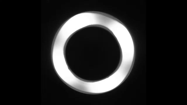 Gold Zebra - Gold Zebra LP