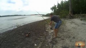 Ловля пеленгаса на Дону. Кумженка. Живой нереис. Снасть на пеленгаса. Рыбалка и семейный отдых