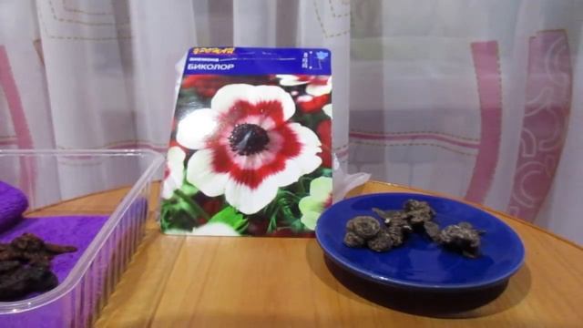 Как садить Анемоны смотреть онлайн
