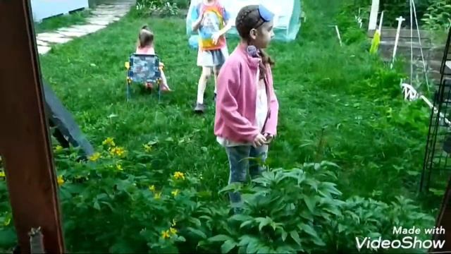 Креветки Шримс медвежонок смотреть онлайн