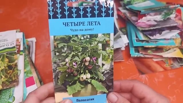 Обзор семян овощей 2023г/Одно разочарование#влог#сибирь#дача#огород#овощи#семена