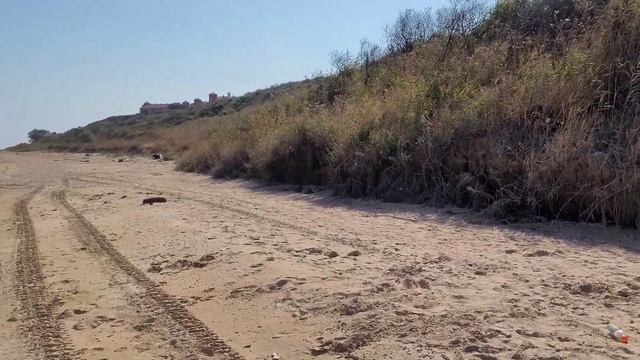 Это запрещено, но я спас ее. Азовское море в сентябре! Голубицкая
