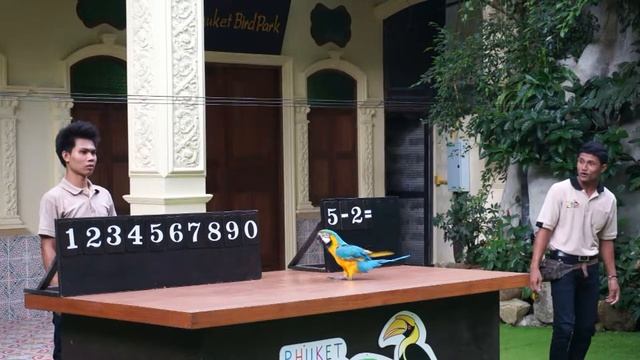 День 03 Экскурсия Экзотический мир смотреть онлайн