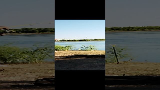 такого улова я точно не ожидал...