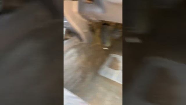 2003 TOYOTA HILUX UTE (Lot 271) смотреть онлайн