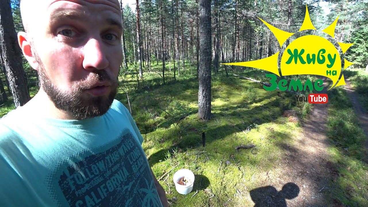 На НИВЕ 2121 1992 г.в. РЫБАЛКА и грибы. смотреть онлайн