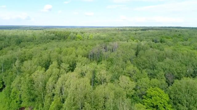 Коттеджный поселок Малые Горки (видео участков) смотреть онлайн