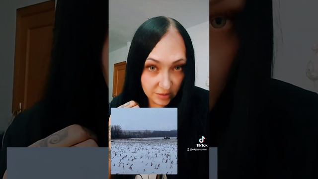 ИЛ 76 , ЧТО СЛУЧИЛОСЬ??? смотреть онлайн