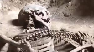 Обнаружен скелет Нефилима (падшего) – это Гибридный Великан в Библии!👆😲👍