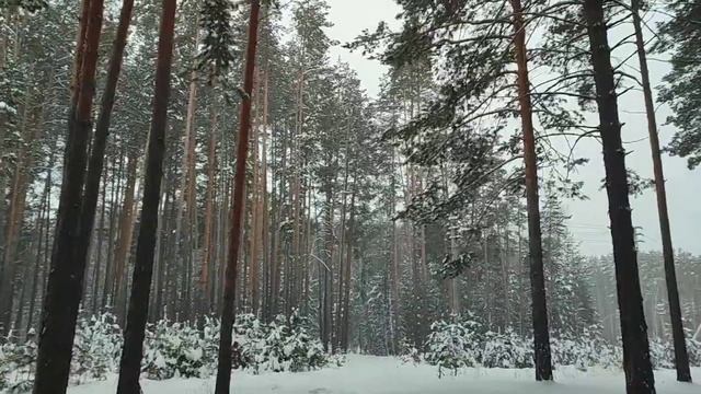 КАК ОТЛИЧИТЬ ПРИВЫЧКУ ОТ ЛЮБВИ смотреть онлайн