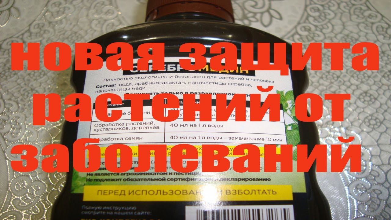 НОВАЯ ЗАЩИТА РАСТЕНИЙ ОТ ЗАБОЛЕВАНИЙ . СЕРЕБРОМЕДИН смотреть онлайн
