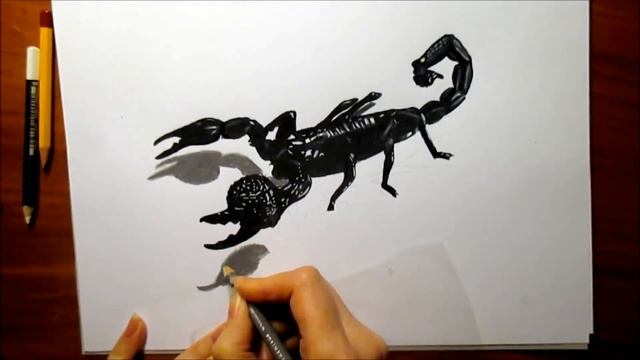 3D Pencil Drawing: Emperor Scorpion How to Draw Animals - Speed Draw | Jasmina Susak смотреть онлайн
