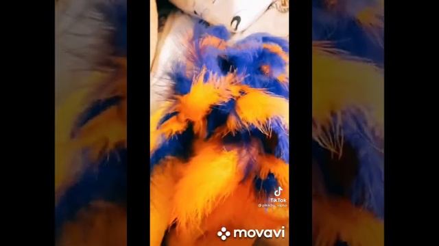 фурри тик ток часть 3 (издание рапторов) смотреть онлайн