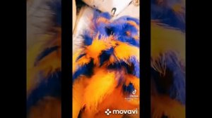 фурри тик ток часть 3 (издание рапторов)