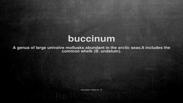 What does buccinum mean смотреть онлайн