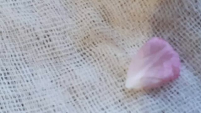 Вода из лепестков роз! Rose petal water. #rose #water #роз смотреть онлайн