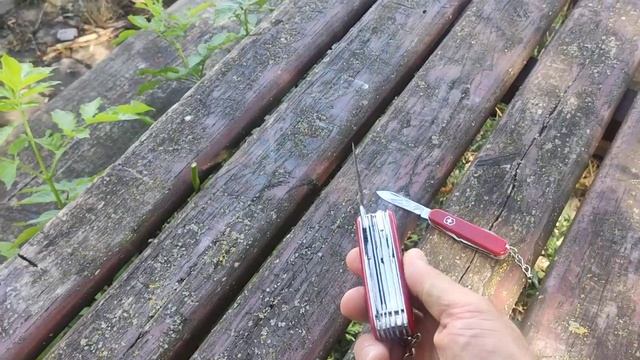 Самый удачный VICTORINOX.