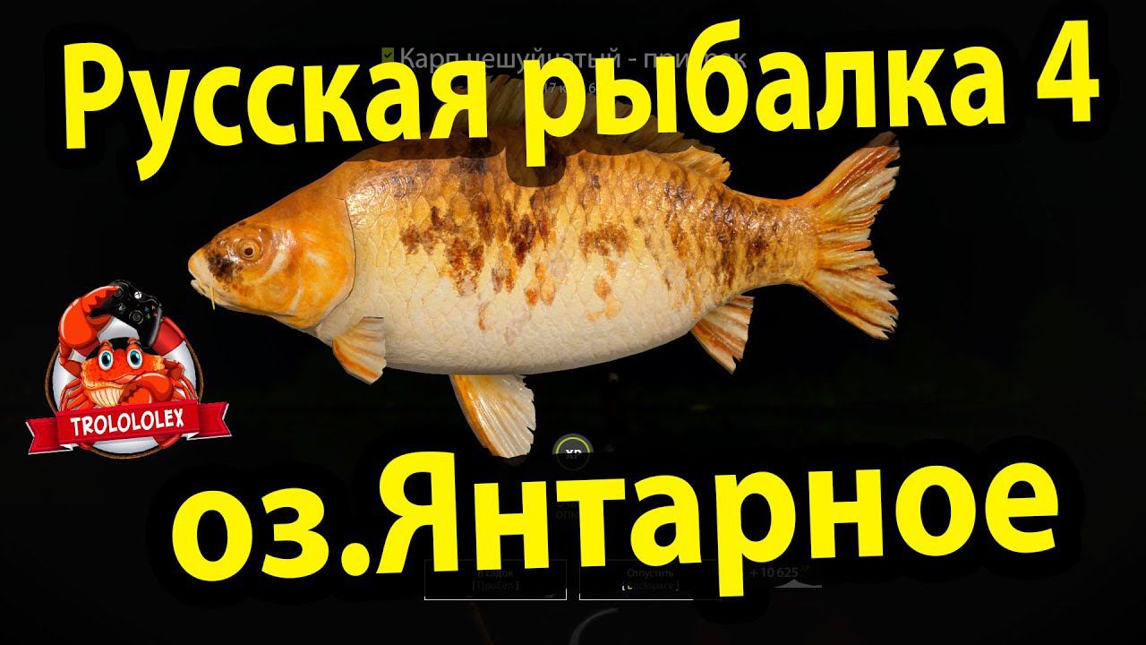 Русская рыбалка 4 Фарм на оз Янтарное смотреть онлайн