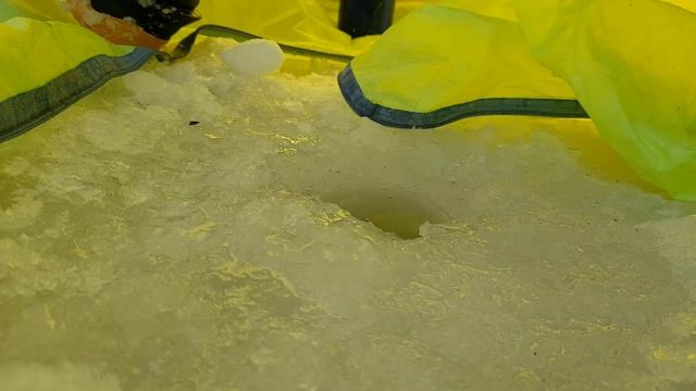 Рыбалка в Коми река Локчим смотреть онлайн