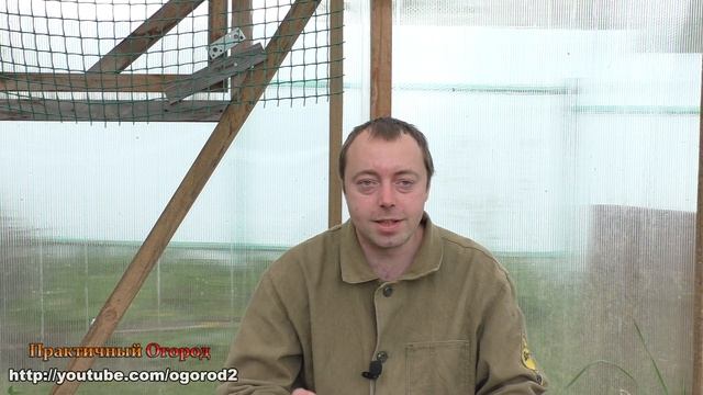 Засоление почвы кокосом. Как я спас рассаду! смотреть онлайн