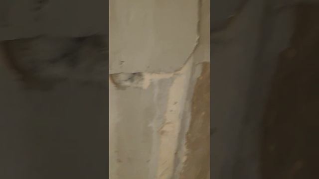 Отделка стен, начало работ