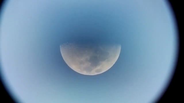 daytime moon смотреть онлайн