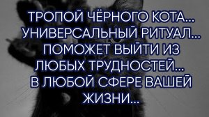 ТРОПОЙ ЧЁРНОГО КОТА...