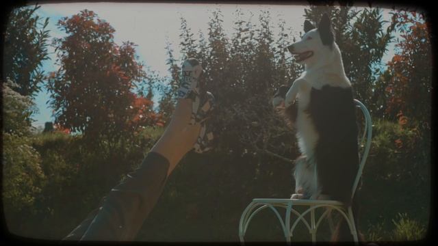 Видео. Новая коллекция Rendez-Vous Весна/Лето 2017 смотреть онлайн