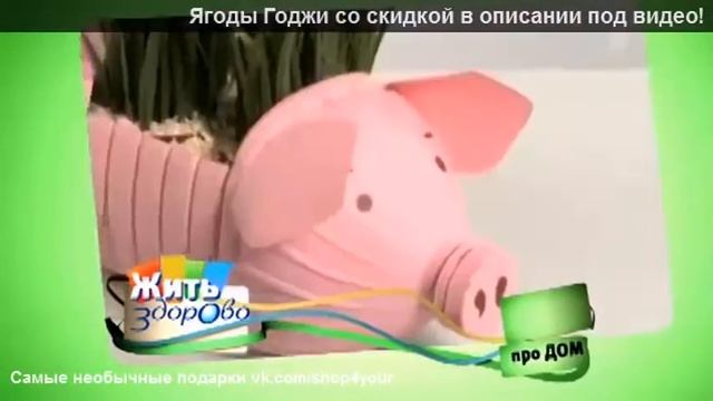 ягоды годжи полезные свойства смотреть онлайн