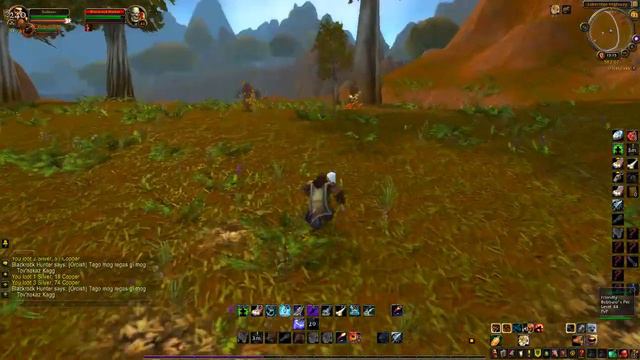 Voice Quest and Combat Voice Addon in World of Warcraft [ Male Hunter ] смотреть онлайн