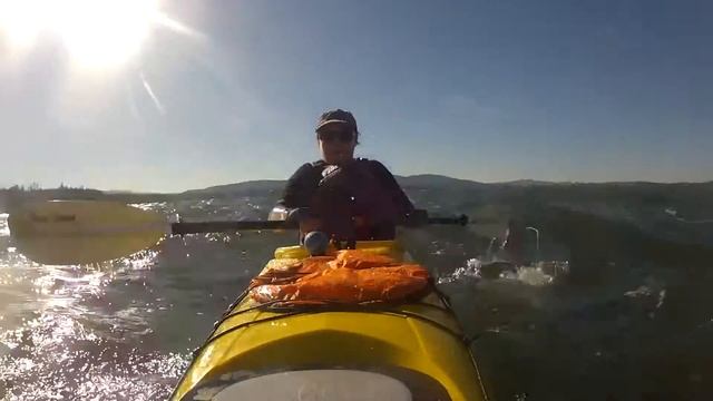 You Really Got Me смотреть онлайн