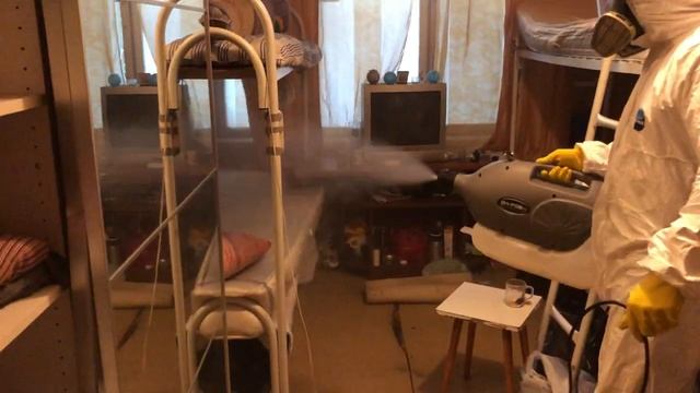 Уничтожение клопов и тараканов. Профессиональная служба СЭС. смотреть онлайн