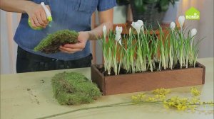 Весеннее украшение дома! Цветочная композиция из крокусов