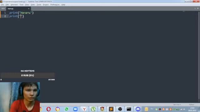 Python функция input() смотреть онлайн