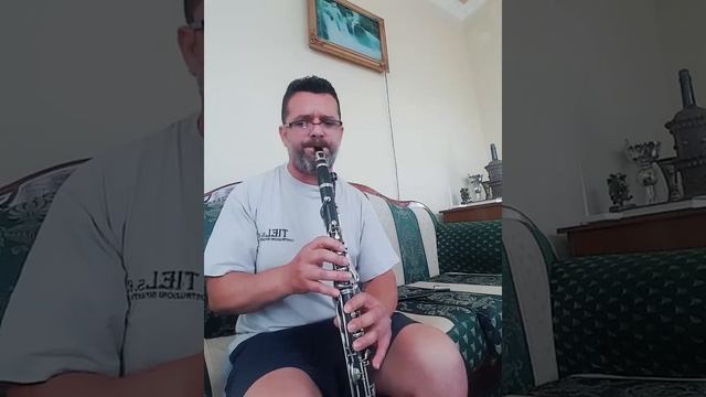 Klarnet Yunan Tavrı - Artur Lufta смотреть онлайн