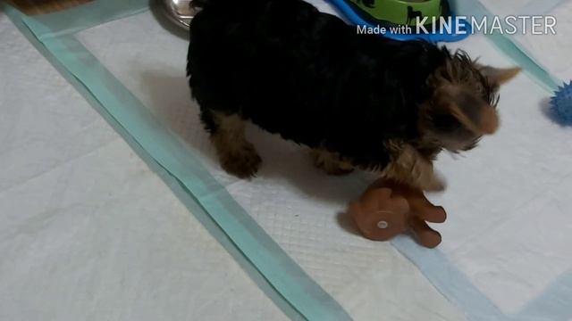 Ответы на самые сложные вопросы