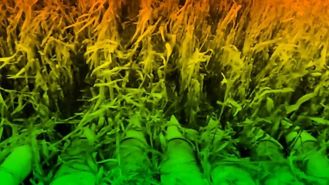 Испытания газомоторного зерноуборочного комбайна Gomselmash Palesse GS4118K смотреть онлайн