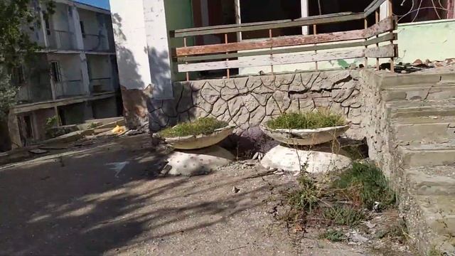 Пансионат Прибой г.Керчь 2019.08.09 (1) смотреть онлайн