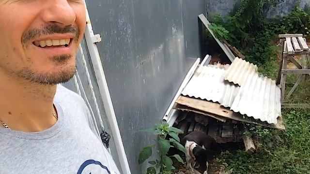 Хорошо в деревне летом. Жизнь на Бали. смотреть онлайн