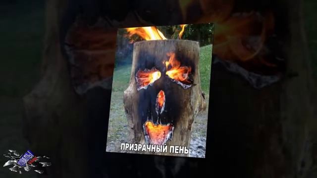 Смотреть приколы,приколы до слез,лучшее *6 смотреть онлайн
